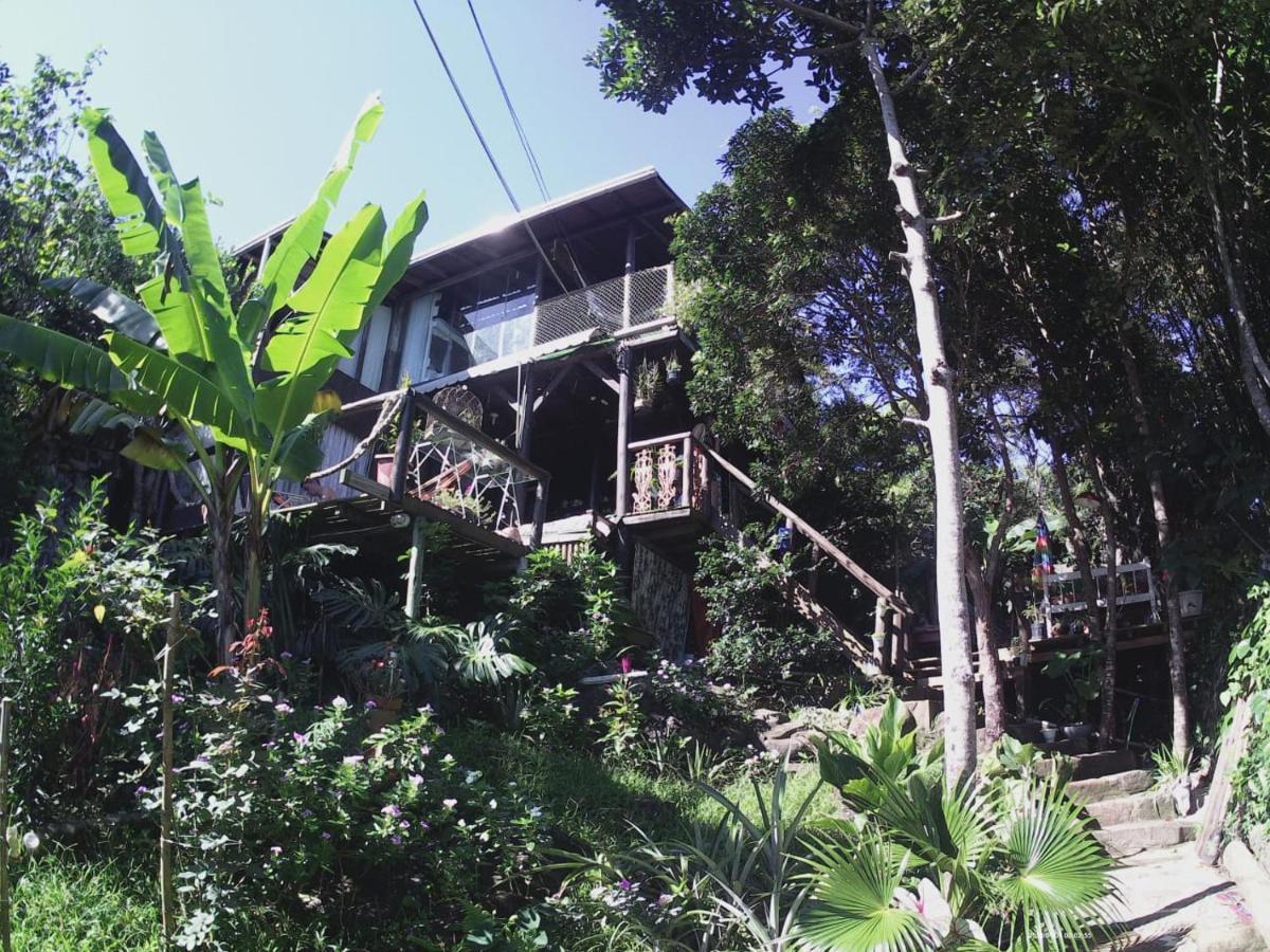 Hostel Do Morro Florianópolis 外观 照片