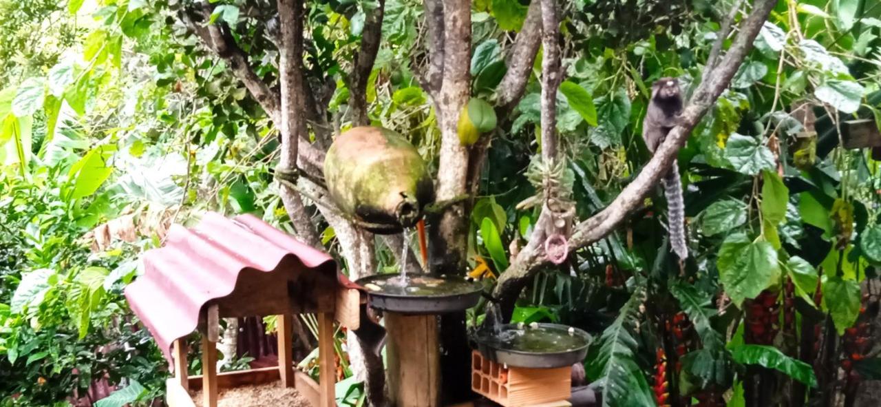 Hostel Do Morro Florianópolis 外观 照片