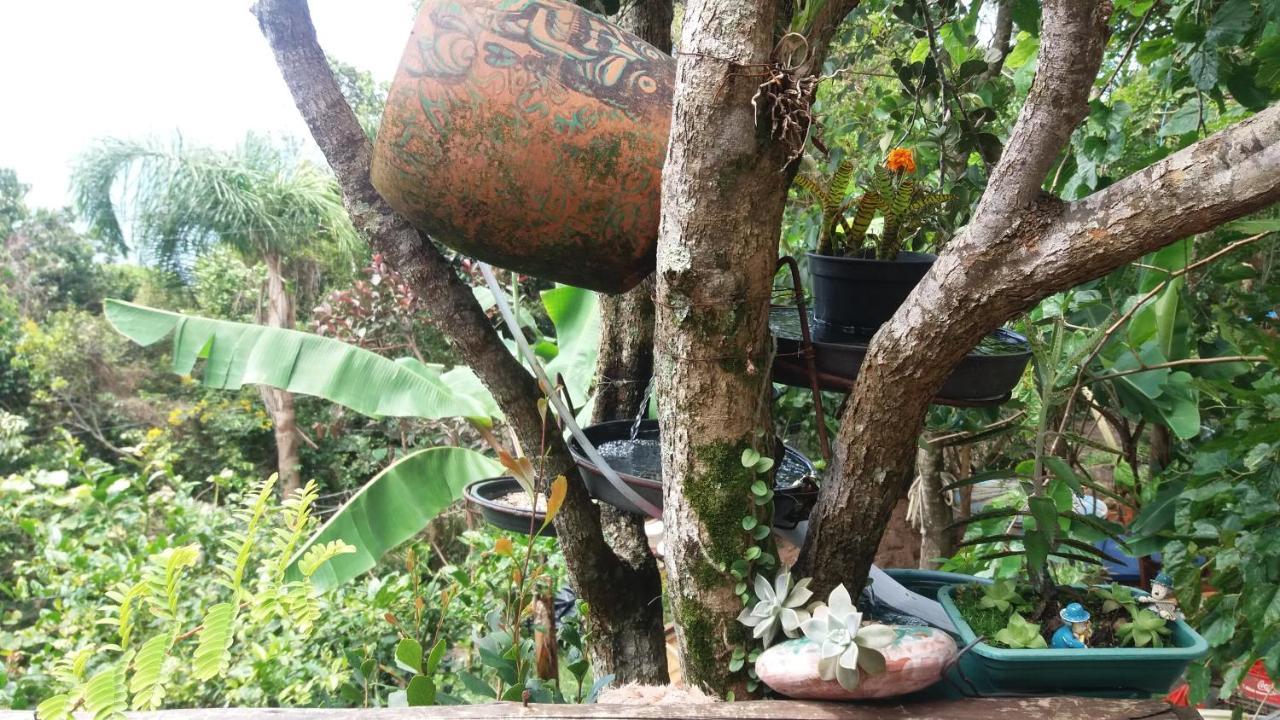 Hostel Do Morro Florianópolis 外观 照片
